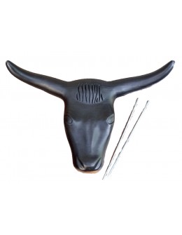 Steer Head